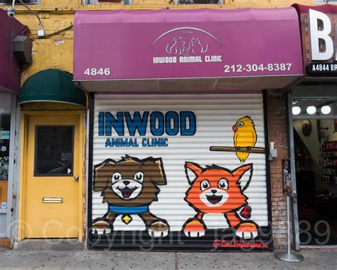 Inwood animal clinic - Inwood Animal Clinic is your local Veterinarian in New York serving all of your needs. Call us today at (212) 256-9795 for an appointment.